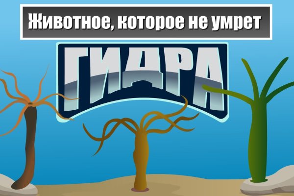 Кракен что это такое наркотики