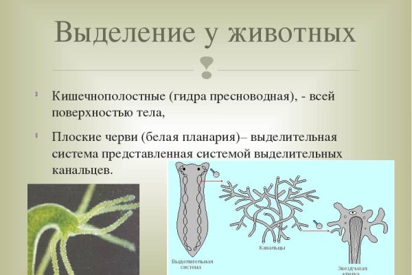 Кракен купить порошок